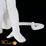 Настольный светильник Evoluce Tenato SLE115104-01 - Фото 6