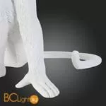 Настольный светильник Evoluce Tenato SLE115104-01 - Фото 9