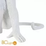 Настольный светильник Evoluce Tenato SLE115104-01 - Фото 3