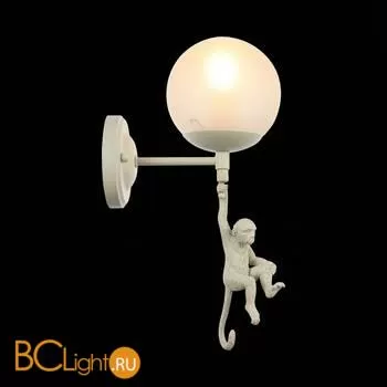 Бра Evoluce Tenato SLE115101-01