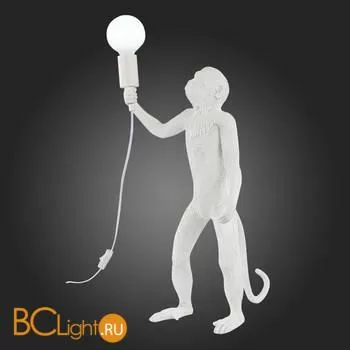 Настольный светильник Evoluce Tenato SLE115114-01