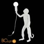 Настольный светильник Evoluce Tenato SLE115114-01 - Фото 1