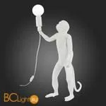 Настольный светильник Evoluce Tenato SLE115114-01