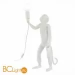 Настольный светильник Evoluce Tenato SLE115114-01 - Фото 0