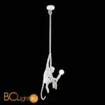 Подвесной светильник Evoluce Tenato SLE115103-01 - Фото 1