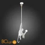 Подвесной светильник Evoluce Tenato SLE115103-01