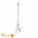 Подвесной светильник Evoluce Tenato SLE115103-01 - Фото 0