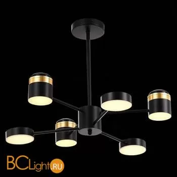 Люстра Evoluce Tezze SLE6007-402-06 - Фото 2