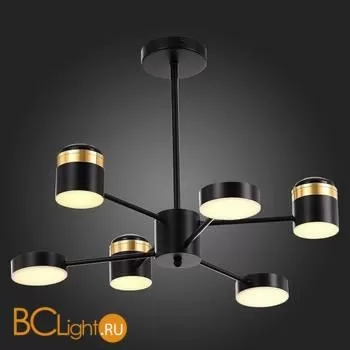 Люстра Evoluce Tezze SLE6007-402-06 - Фото 3