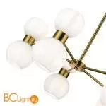 Люстра Evoluce Thonet SLE1138-302-10 - Фото 1