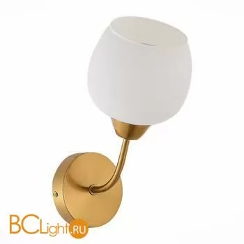 Бра Evoluce Tratti SLE1136-301-01 - Фото 0