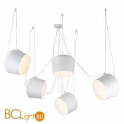 Подвесной светильник Evoluce Trieste SLE120653-05