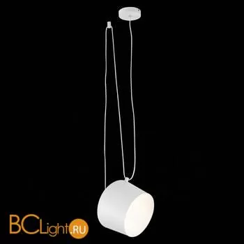 Подвесной светильник Evoluce Trieste SLE120653-01 - Фото 1