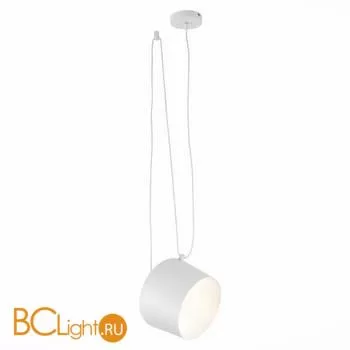 Подвесной светильник Evoluce Trieste SLE120653-01