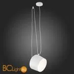 Подвесной светильник Evoluce Trieste SLE120653-01 - Фото 2