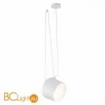 Подвесной светильник Evoluce Trieste SLE120653-01