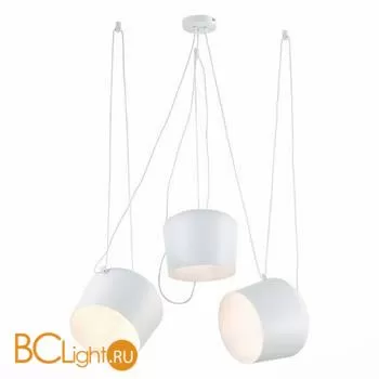 Подвесной светильник Evoluce Trieste SLE120653-03