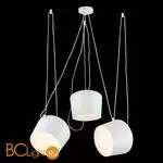 Подвесной светильник Evoluce Trieste SLE120653-03 - Фото 2