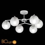 Люстра Evoluce Verona SLE106602-06