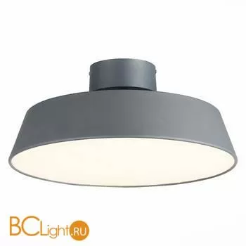 Потолочный светильник Evoluce Vigo SLE600272-01