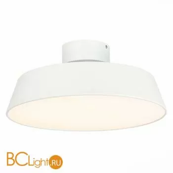 Потолочный светильник Evoluce Vigo SLE600252-01