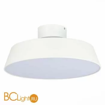 Потолочный светильник Evoluce Vigo SLE600252-01 - Фото 0