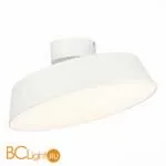 Потолочный светильник Evoluce Vigo SLE600252-01 - Фото 1