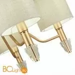 Люстра Evoluce Vilede SLE107003-05 - Фото 1