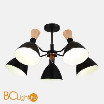 Люстра Evoluce Vista SLE1256-402-05 - Фото 1