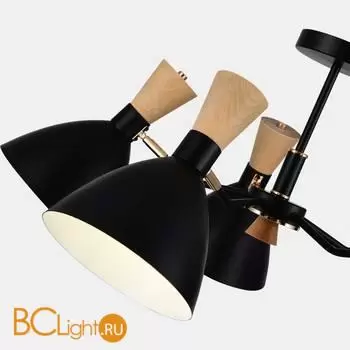 Люстра Evoluce Vista SLE1256-402-05 - Фото 5