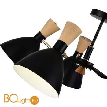 Люстра Evoluce Vista SLE1256-402-05 - Фото 6