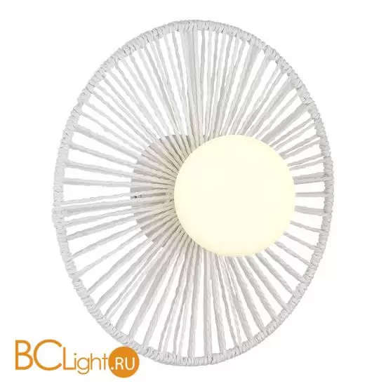 Настенный светильник Evoluce ZOOM SLE6022-501-01