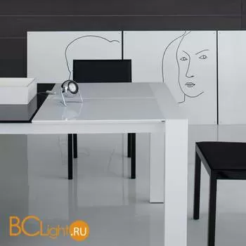 Настольная лампа Fabbian Beluga Steel D57 B05 15 - Фото 0