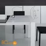 Настольная лампа Fabbian Beluga Steel D57 B05 15 - Фото 0