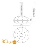 Подвесной светильник Fabbian Riccio D72 A03 01 - Схема