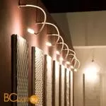 Потолочный светильник Fabbian Snake D63 G01 01 - Фото 0