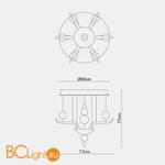 Подвесной светильник Fabbian Spirito di Venezia F10 A01 01 - Схема