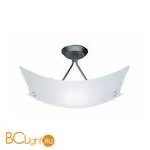 Потолочный светильник Fabbian Teorema D09 E01 01