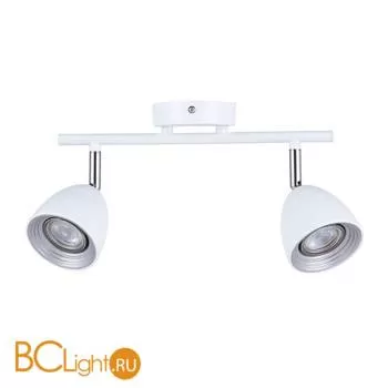 Потолочный светильник Favourite Allegra 2393-2U
