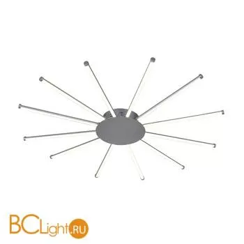 Потолочный светильник Favourite Aster 2379-12U