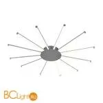Потолочный светильник Favourite Aster 2379-12U