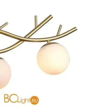 Люстра Favourite Avis 2742-4P - Фото 2