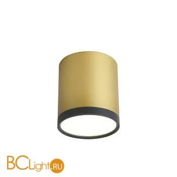 Спот Favourite Baral 3082-1C