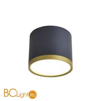 Спот Favourite Baral 3081-2C