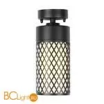 Уличный потолочный светильник Favourite Barrel 3019-1P