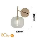 Бра Favourite Beaker 2976-1W - Фото 0