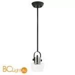 Подвесной светильник Favourite Becher 1913-1P - Фото 0