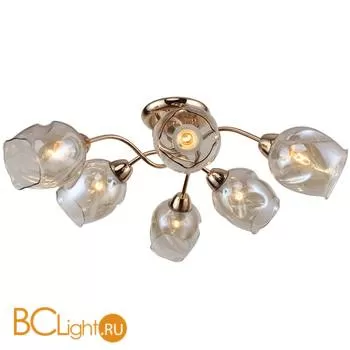 Потолочная люстра Favourite Bento 2190-6U