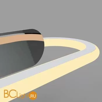 Подсветка для картин Favourite Biofield 2436-1W - Фото 3