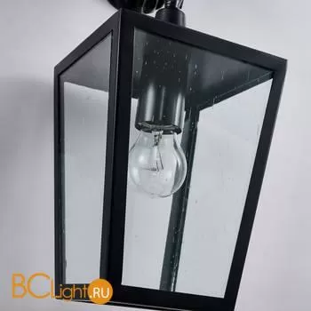 Настенный светильник Favourite Bison 4001-1W - Фото 5